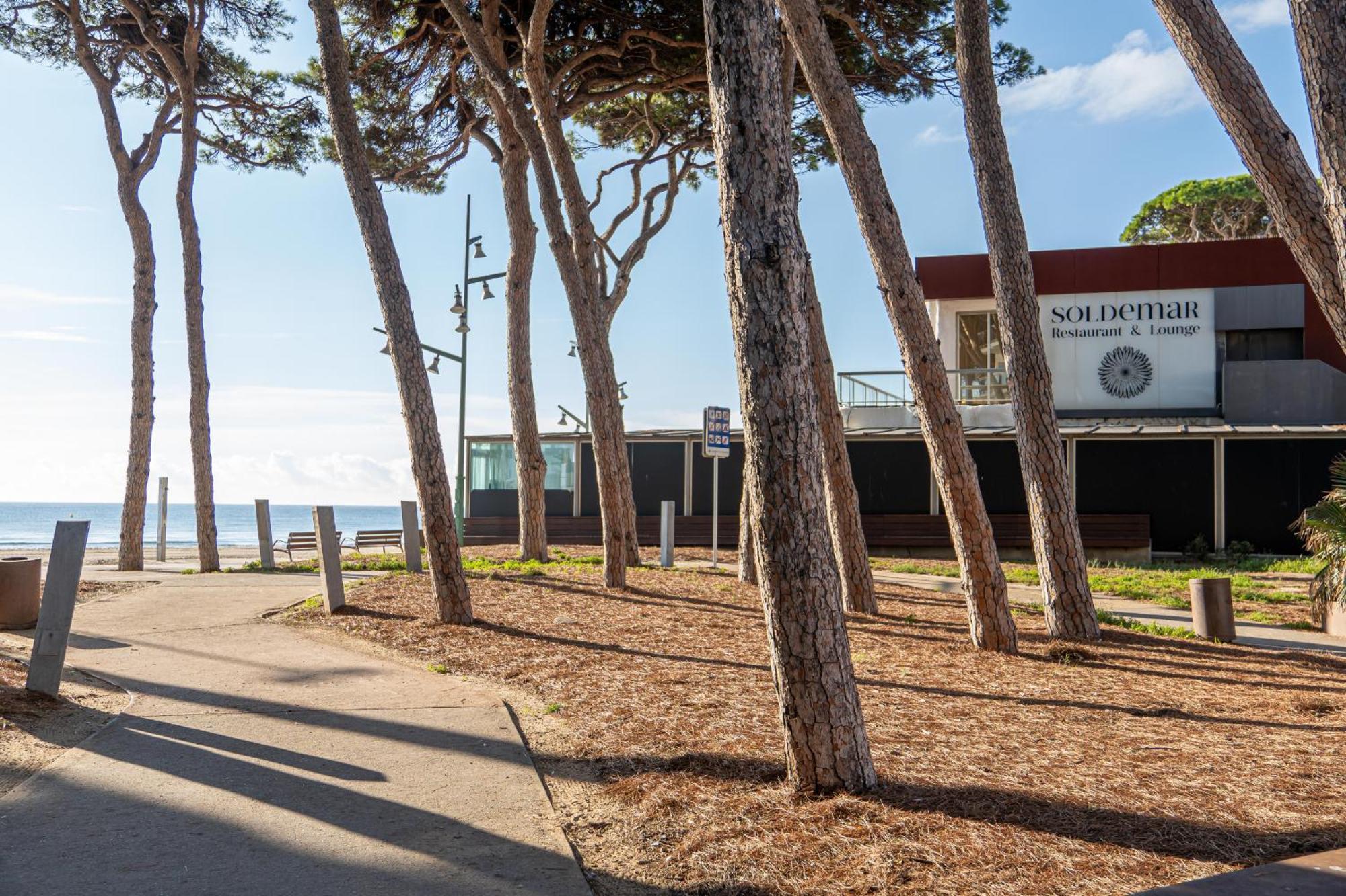 Mediterranean Way - Los Olivos La Pineda Ngoại thất bức ảnh
